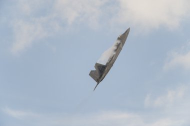 Ortak temel Andrews hava gösterisi 2015