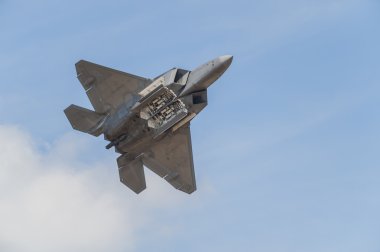 Ortak temel Andrews hava gösterisi 2015