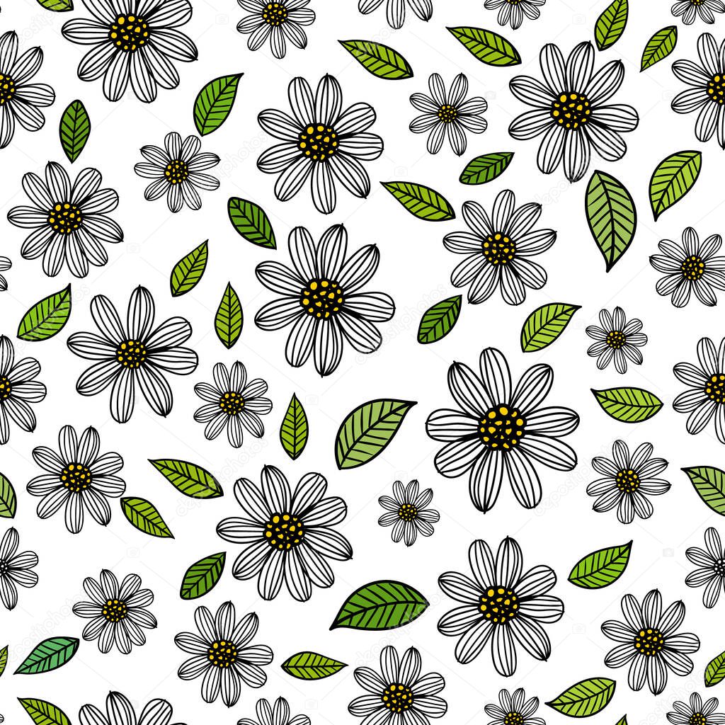 Daisies background seamless pattern, vector illustration