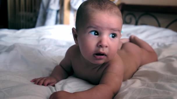 Un neonato giace sulla pancia con la testa alzata, si guarda intorno e guarda nella macchina fotografica — Video Stock