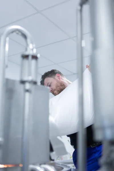 Homem segurando saco branco com malte — Fotografia de Stock