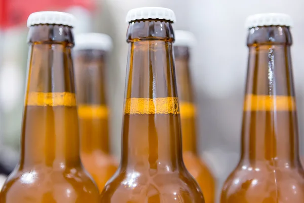 Primer plano de botellas llenas de cerveza — Foto de Stock