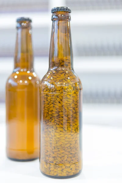 Botellas marrones con cerveza y grano — Foto de Stock