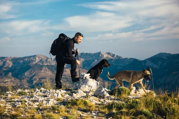 Backpacker z psami w górach — Zdjęcie stockowe