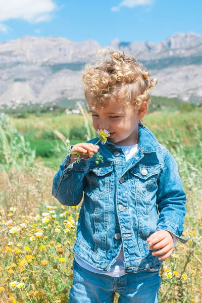 Lindo niño oliendo una flor en el campo —  Fotos de Stock