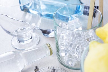 cin-tonik kokteyl se