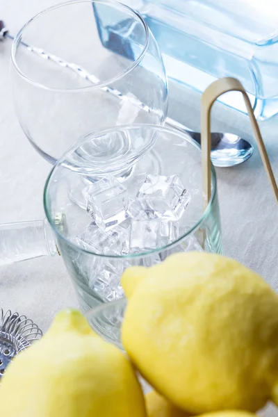 Gin tonic preparatio — Stock Photo, Image