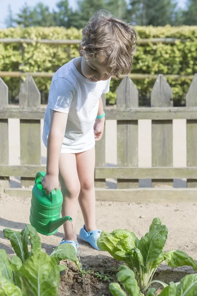 Menino molhando o jardim de pé — Fotografia de Stock