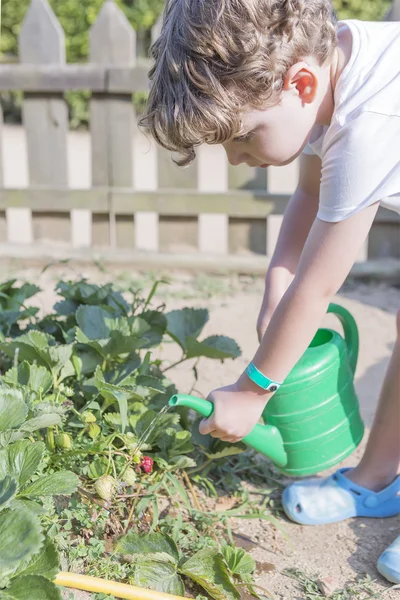 Jeune garçon arrosant le jardin — Photo