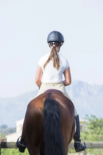 Girl and horse — Stock Photo, Image