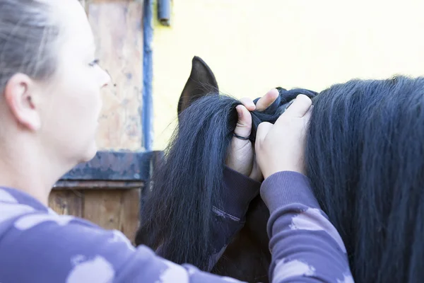 Girl combing a horse mane — Stock Photo, Image