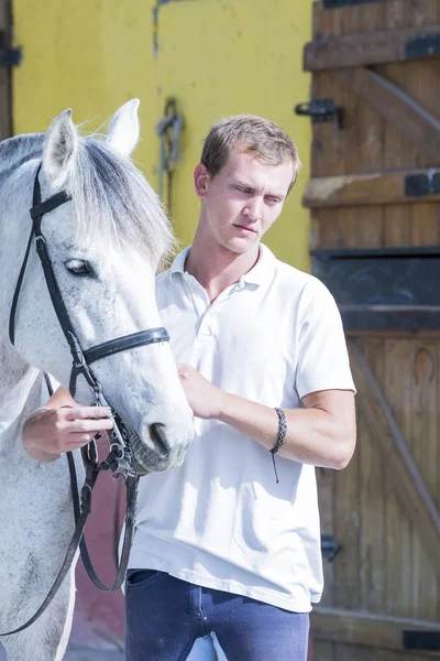 Horse rider and his horse — Stock Photo, Image