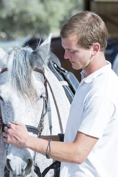 Young man caressing a horse — Stock Photo, Image