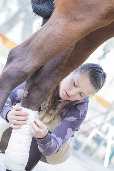 Young woman grooming her horse — Stock Photo, Image
