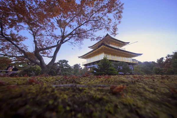 Vista Pagode Santuário Presente Mudança Estação Outono Japão Rural Vista — Fotografia de Stock