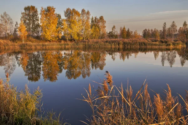 Herfst landschap. Park in het najaar. — Stockfoto