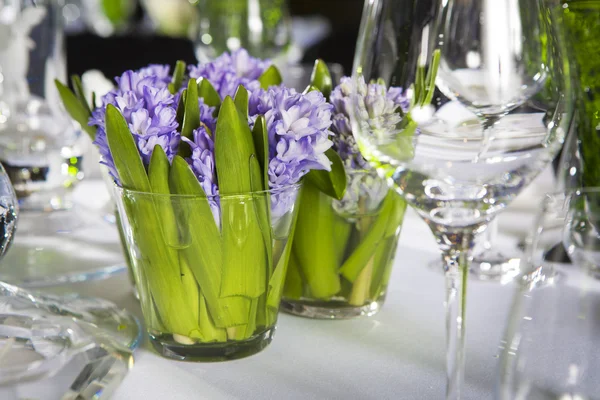 Hyacinth Floral Arrangement in Vase — Stock Photo, Image