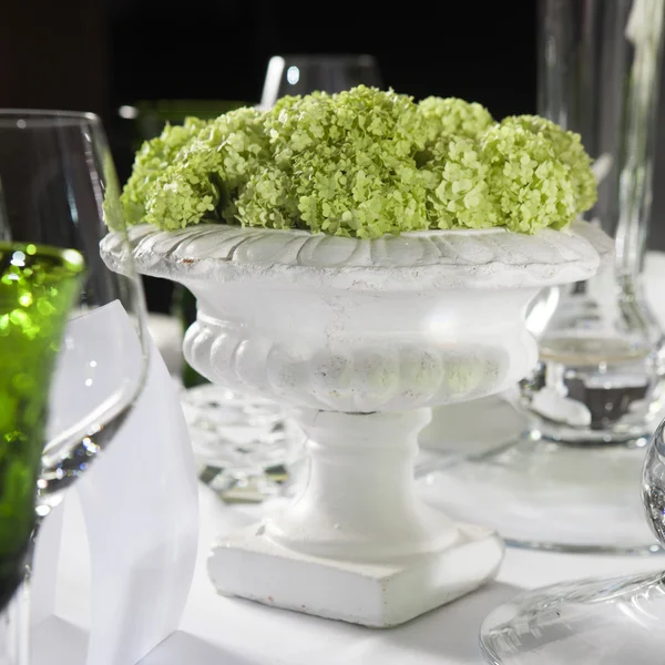 Hydrangea in a plaster vase — Stockfoto