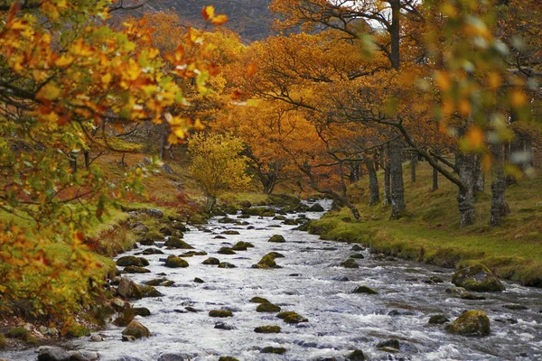 Noordelijke Derwent Water, Keswick en Blencathra. Bruggetje in — Stockfoto