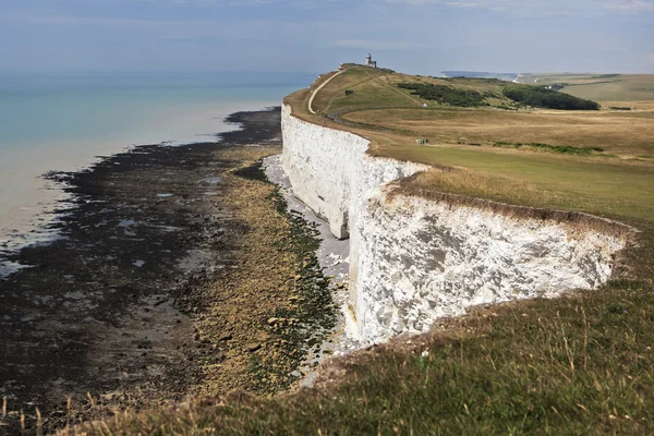 Latarnia morska Toute Belle w Beachy Head w Sussex 11 maja 2 — Zdjęcie stockowe