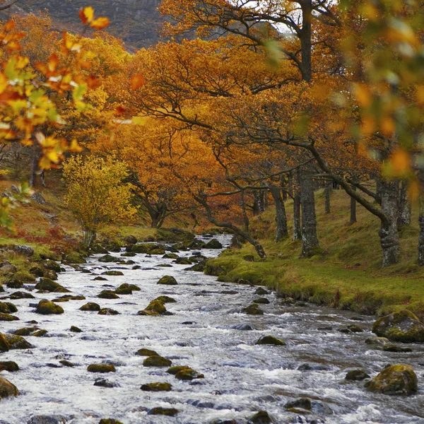 Βόρεια Derwent Water, Keswick και Blencathra. Μικρή γέφυρα στο — Φωτογραφία Αρχείου