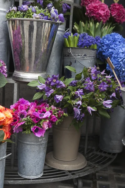 Flor en venta. anémona púrpura en cubo de zink —  Fotos de Stock