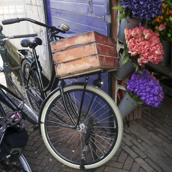 Велосипеды в голландском городском парке — стоковое фото