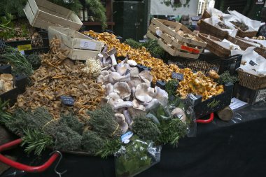 Taze chanterelles ve karnabahar mantar.