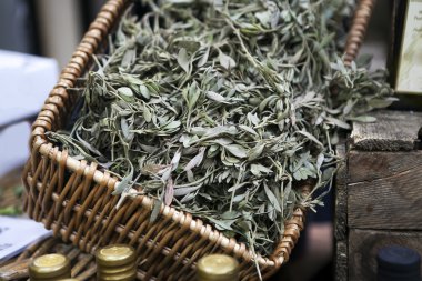 Yeşil zeytin ağacının ayrıntı bir dekorasyon mağazası olarak kötü sepet