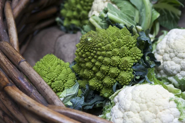 Romanesco cauliflower dengan bentuk fraktal dan Fibonacci sequ — Stok Foto