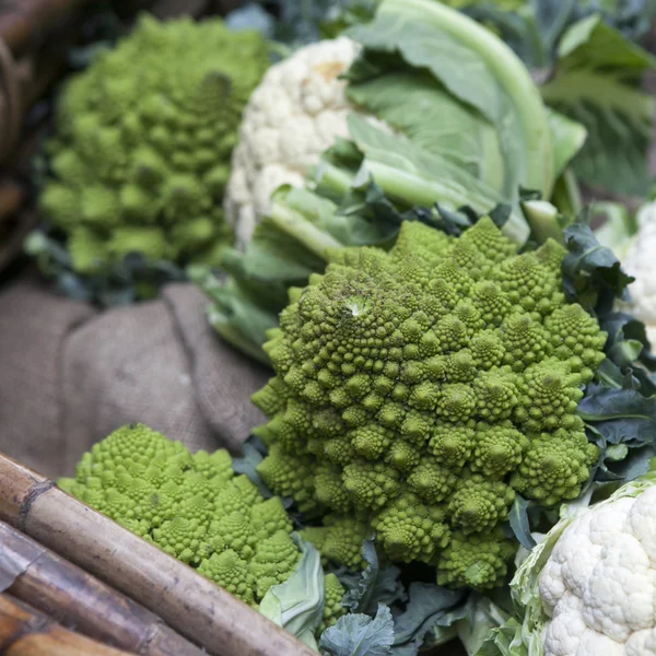 Romanesco cauliflower dengan bentuk fraktal dan Fibonacci sequ — Stok Foto