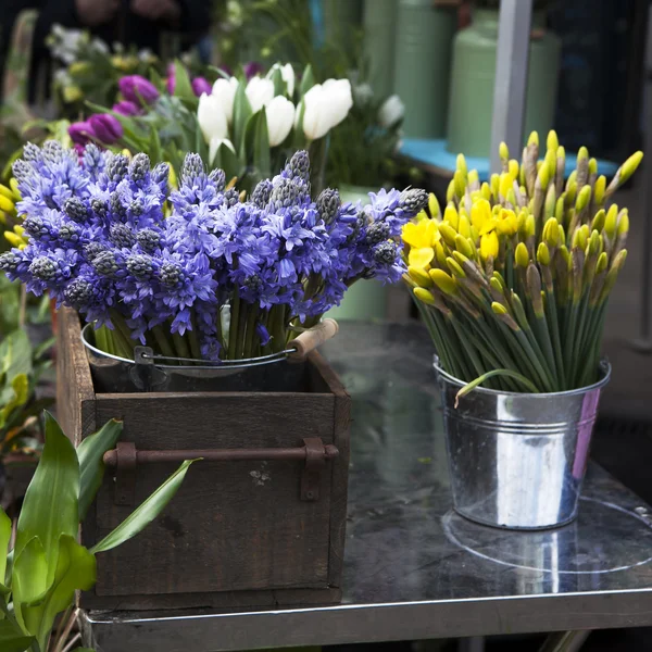 Variedade de flores de primavera em potes em exposição em loja — Fotografia de Stock