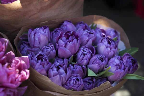 Букеты тюльпанов разных цветов на деревянном фоне — стоковое фото