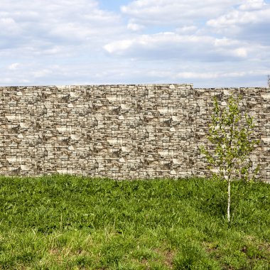 Bulut gökyüzü ile tuğla duvar arka plan üzerinde huş