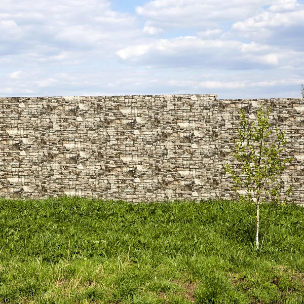 La betulla su sfondo di muro di mattoni con cielo nuvoloso — Foto Stock