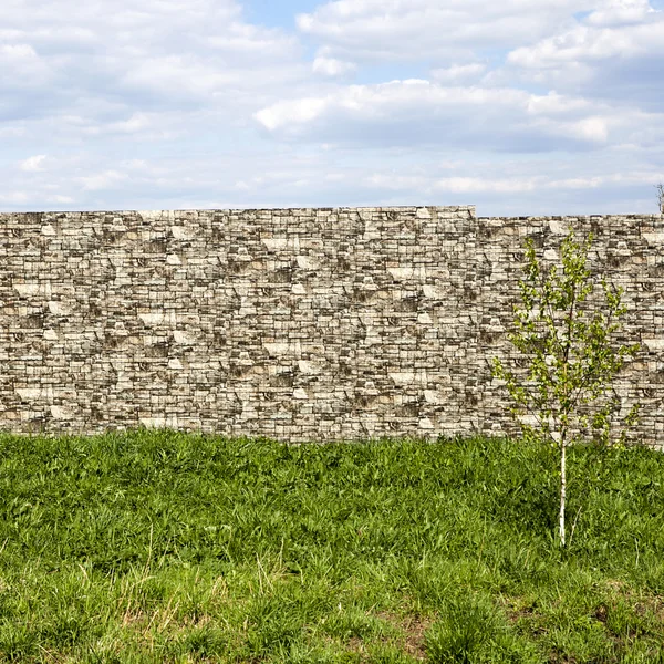 De berk op achtergrond van bakstenen muur met cloud sky — Stockfoto