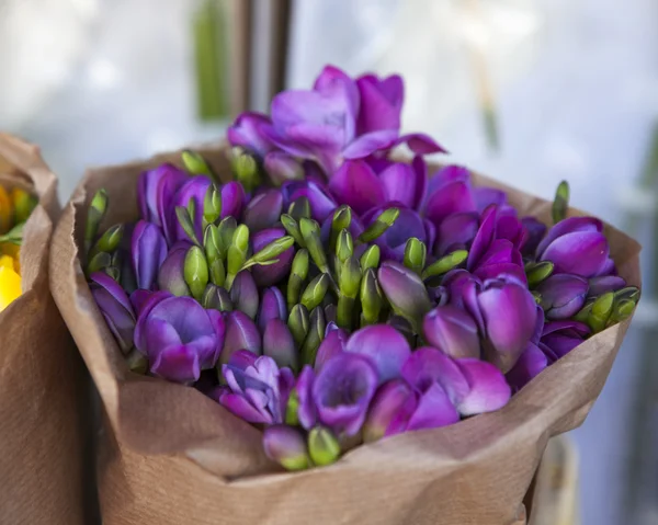 Belo buquê de flores freesia — Fotografia de Stock