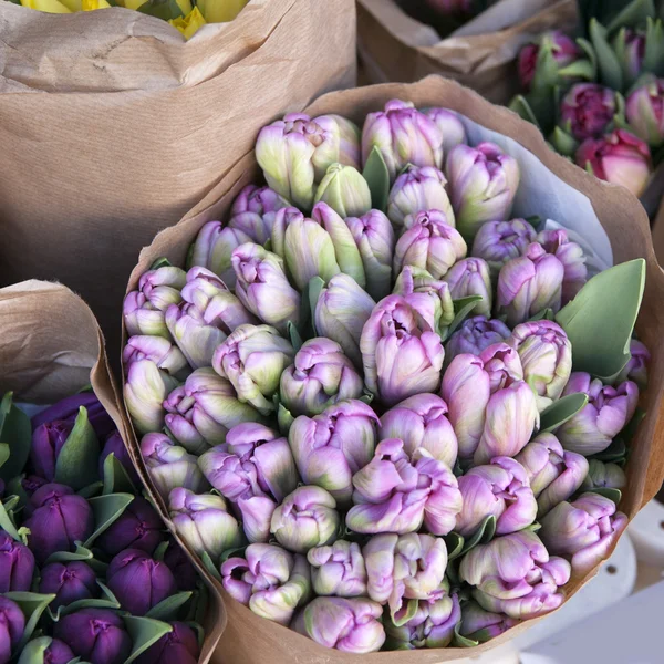 Tulipas de papagaio em um vaso de vidro, buquê romântico, flores da primavera, um — Fotografia de Stock