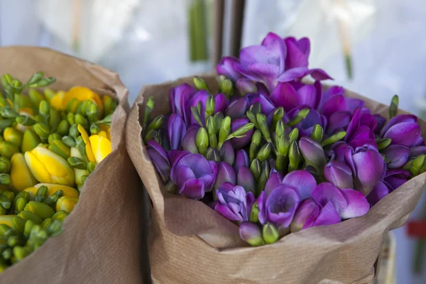 Vackra freesia blommor bukett — Stockfoto