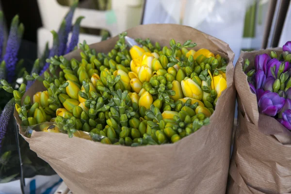 Bellissimo bouquet di fiori fresia — Foto Stock