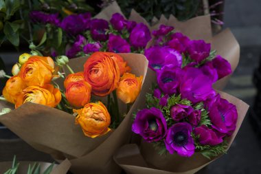 Menekşe anemone ve turuncu tipik çiçekler kova set