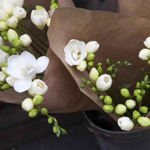 La rama de la freesia blanca con flores — Foto de Stock