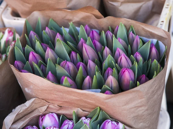 Paarse tulpen in Kraft papier — Stockfoto