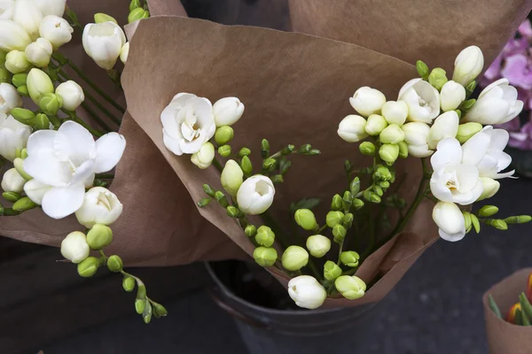 Oddział biała frezja z kwiatami — Zdjęcie stockowe