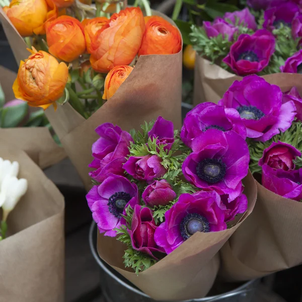 Set of violet anemone and orange ranunculus  flowers in bucket — Stock Photo, Image