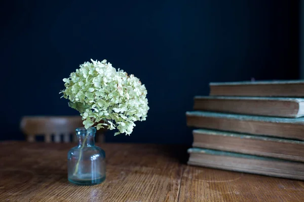 Eine Getrocknete Hortensienblüte Einer Gläsernen Transparenten Vase Auf Einem Holztisch — Stockfoto