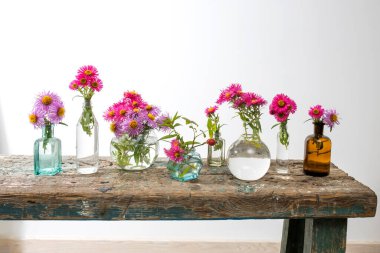 Uzun ahşap bir bankta beyaz bir duvara karşı vazolar yerine küçük eczane şişelerinde sonbahar yıldızları..