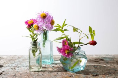 Uzun ahşap bir bankta beyaz bir duvara karşı vazolar yerine küçük eczane şişelerinde sonbahar yıldızları..