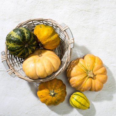 Beyaz arka planda izole edilmiş turuncu balkabağı Cadılar Bayramı. Düz yerde, üst tarafta. Sonbahar asgari kavramı.