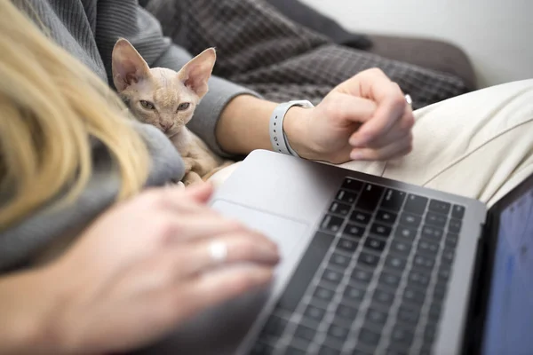 Una Chica Rubia Trabaja Portátil Casa Gatito Sienta Lado Concepto — Foto de Stock